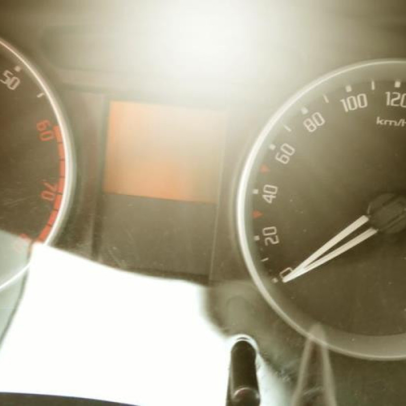Porte arriere droit SKODA FABIA 2 Photo n°12