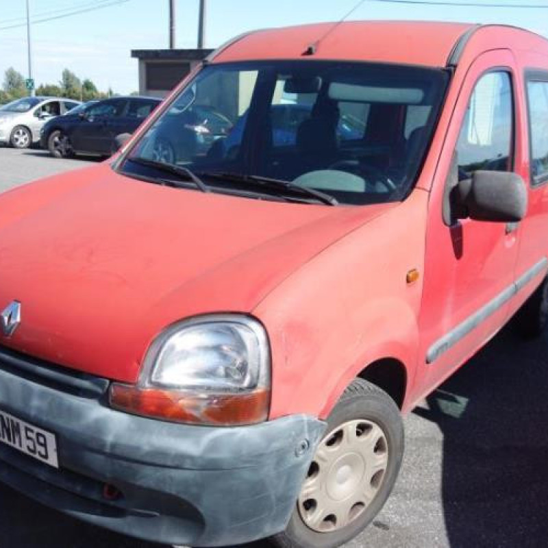 Porte de coffre droit RENAULT KANGOO 1 Photo n°3