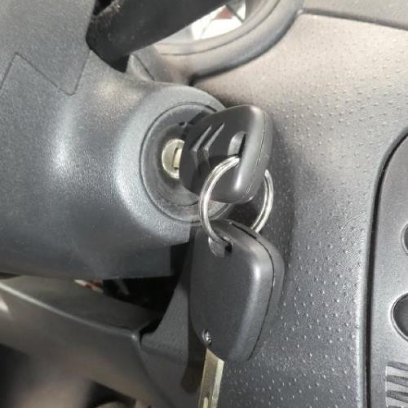 Porte avant droit CITROEN C3 PLURIEL Photo n°10