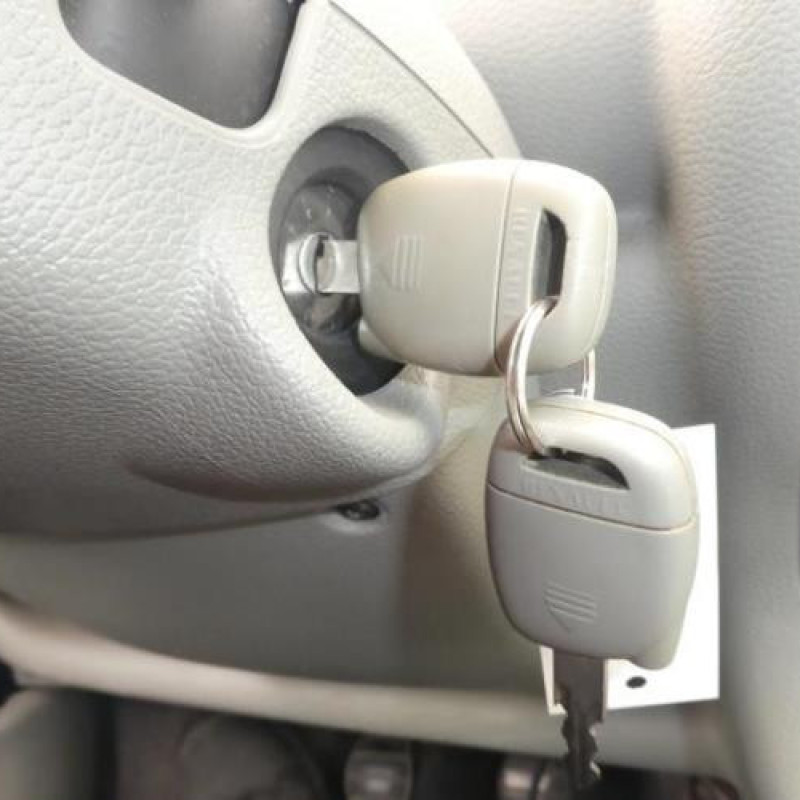 Compresseur clim RENAULT TWINGO 1 Photo n°10
