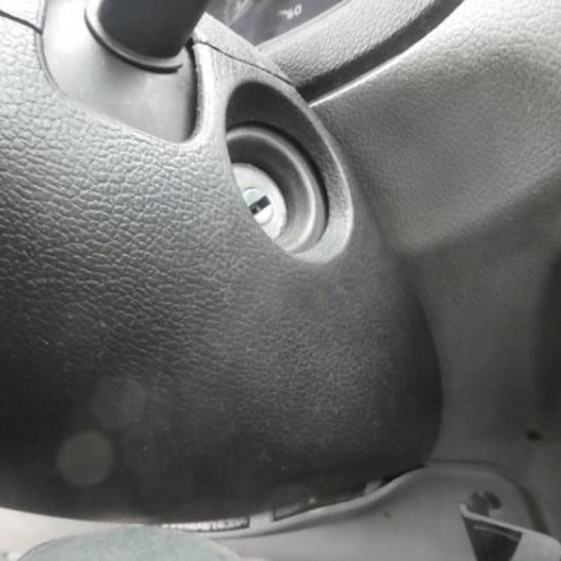 Porte de coffre droit RENAULT KANGOO 1 Photo n°11