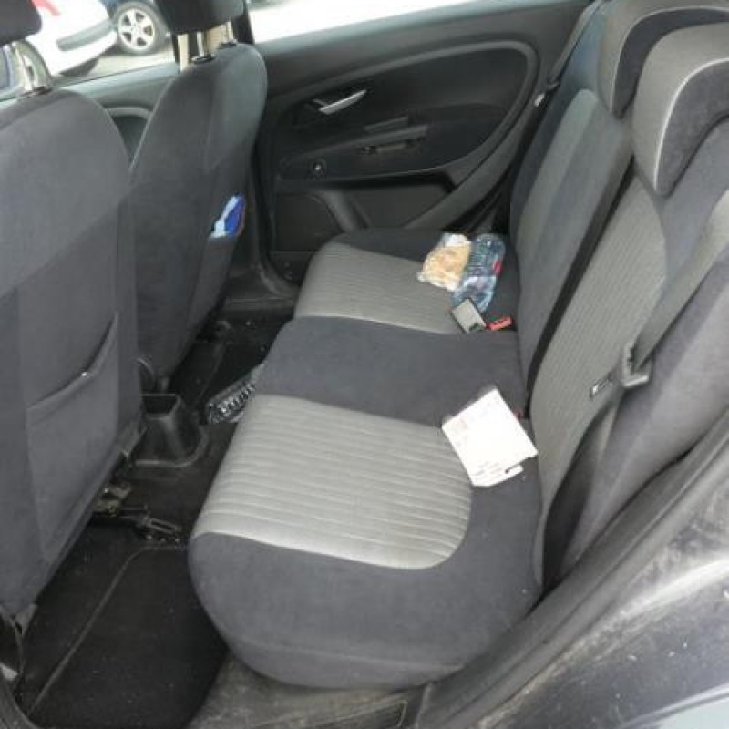 Porte arriere gauche FIAT GRANDE PUNTO Photo n°8