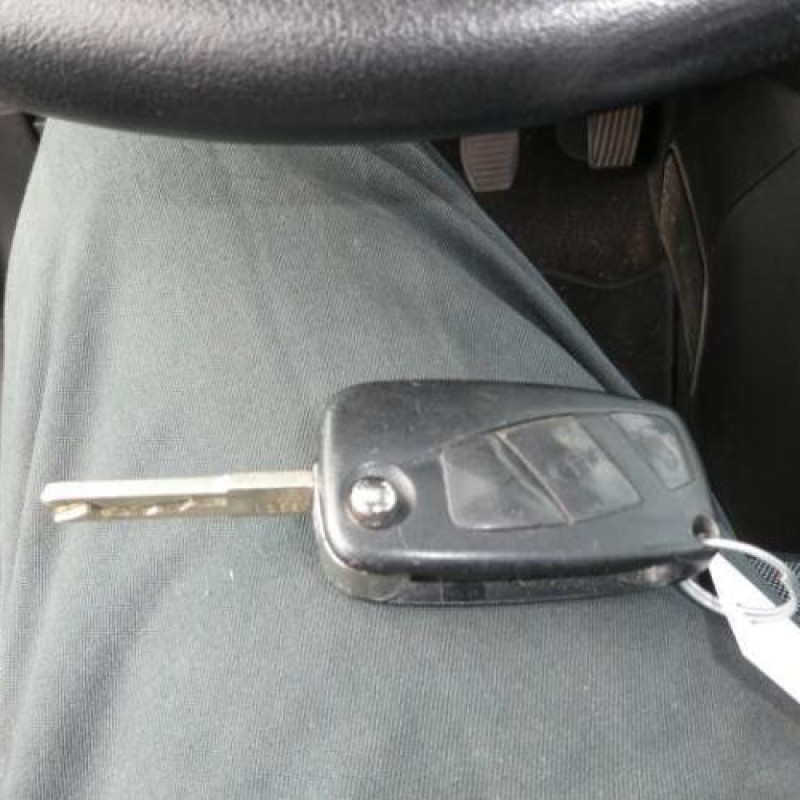 Porte arriere gauche FIAT GRANDE PUNTO Photo n°12