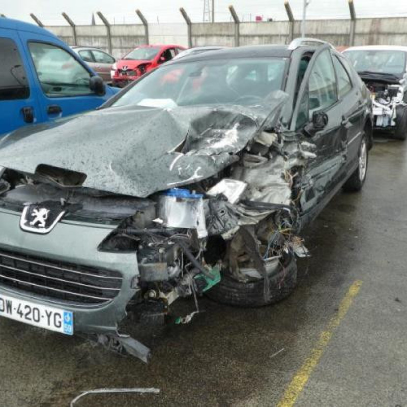 Porte avant droit PEUGEOT 407 Photo n°3