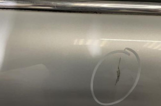 Porte avant gauche MINI MINI 1 R50/R53