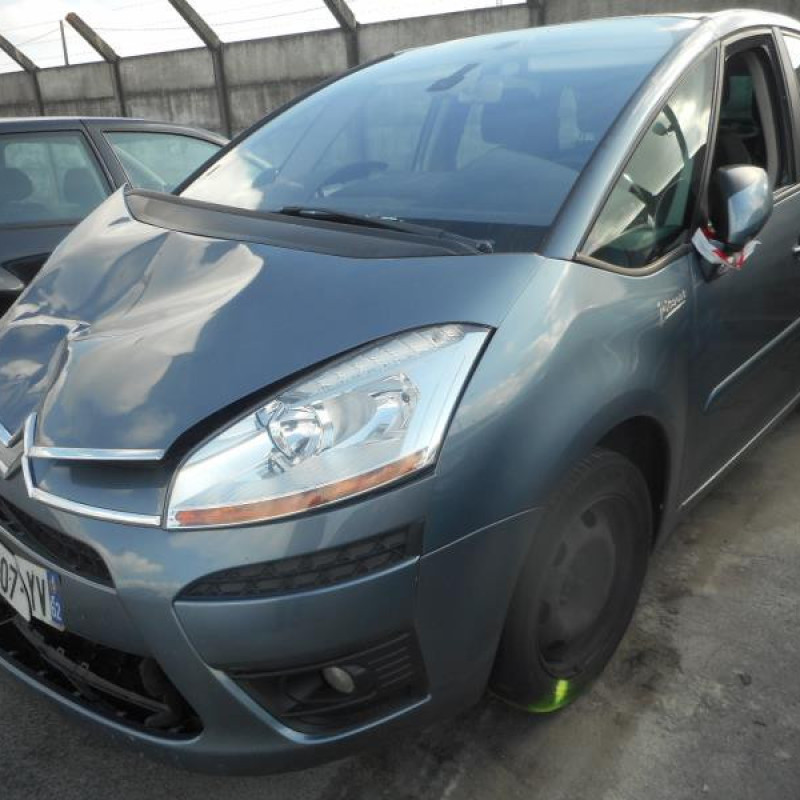 Porte arriere gauche CITROEN C4 PICASSO 1 Photo n°6