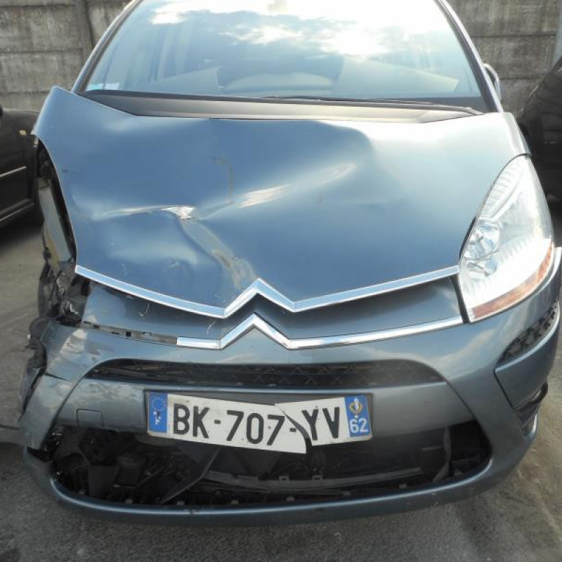 Porte arriere gauche CITROEN C4 PICASSO 1 Photo n°7
