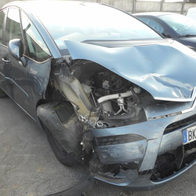 Porte arriere gauche CITROEN C4 PICASSO 1 Photo n°8
