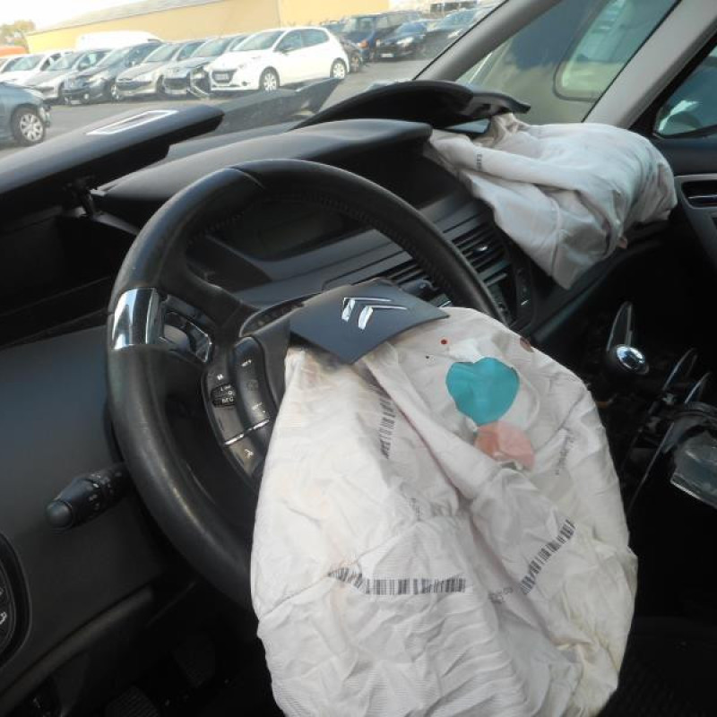 Porte arriere gauche CITROEN C4 PICASSO 1 Photo n°11