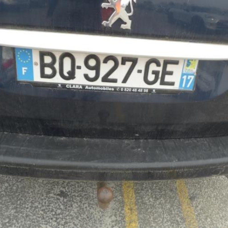 Capot PEUGEOT 307 Photo n°4