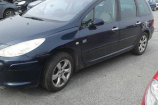 Capot PEUGEOT 307
