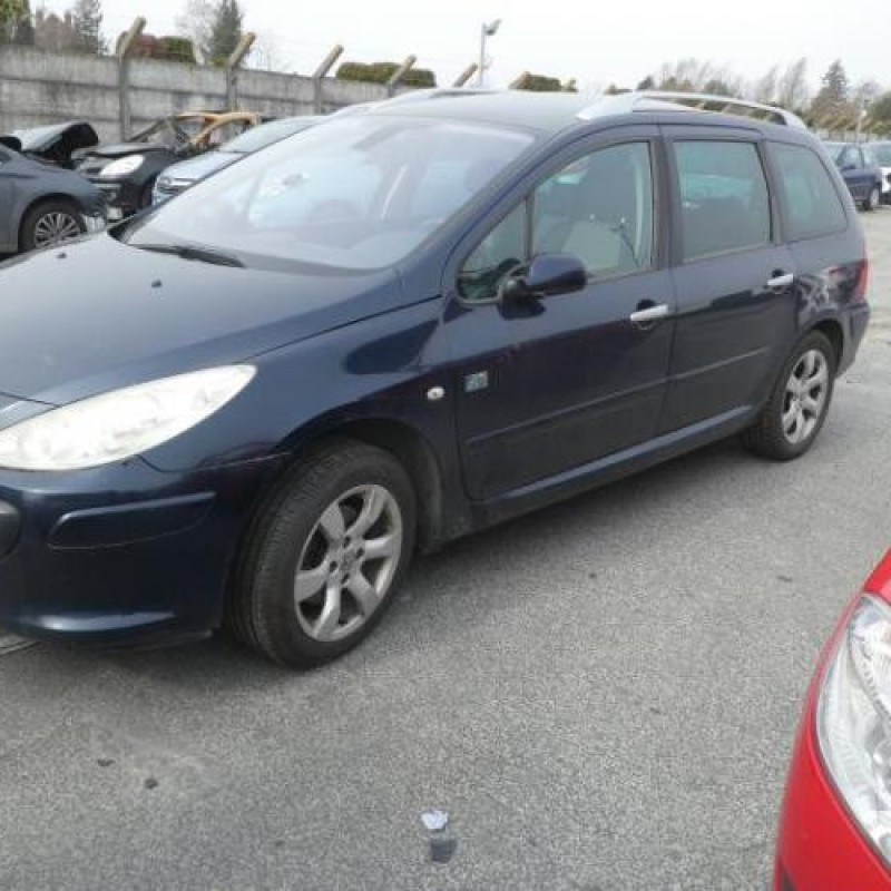 Capot PEUGEOT 307 Photo n°5