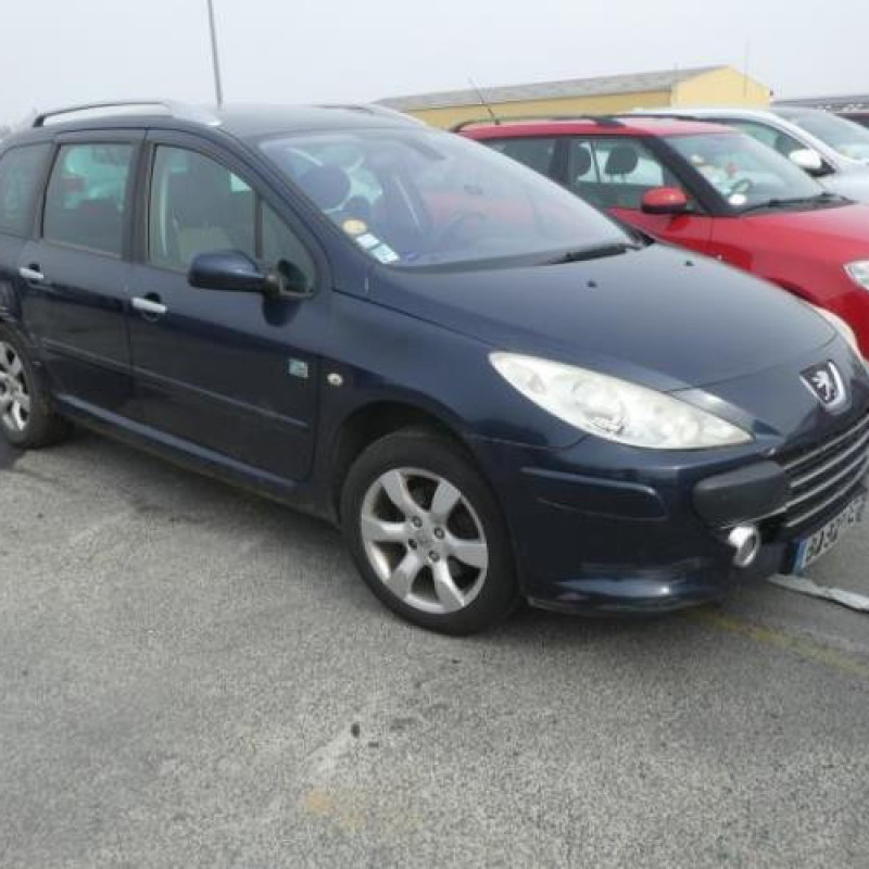 Capot PEUGEOT 307 Photo n°6