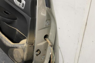 Porte arriere gauche PEUGEOT 307