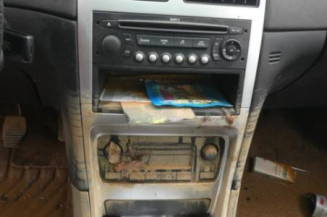Porte arriere gauche PEUGEOT 307