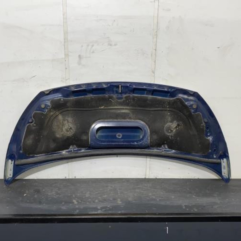 Capot PEUGEOT EXPERT 2 Photo n°4