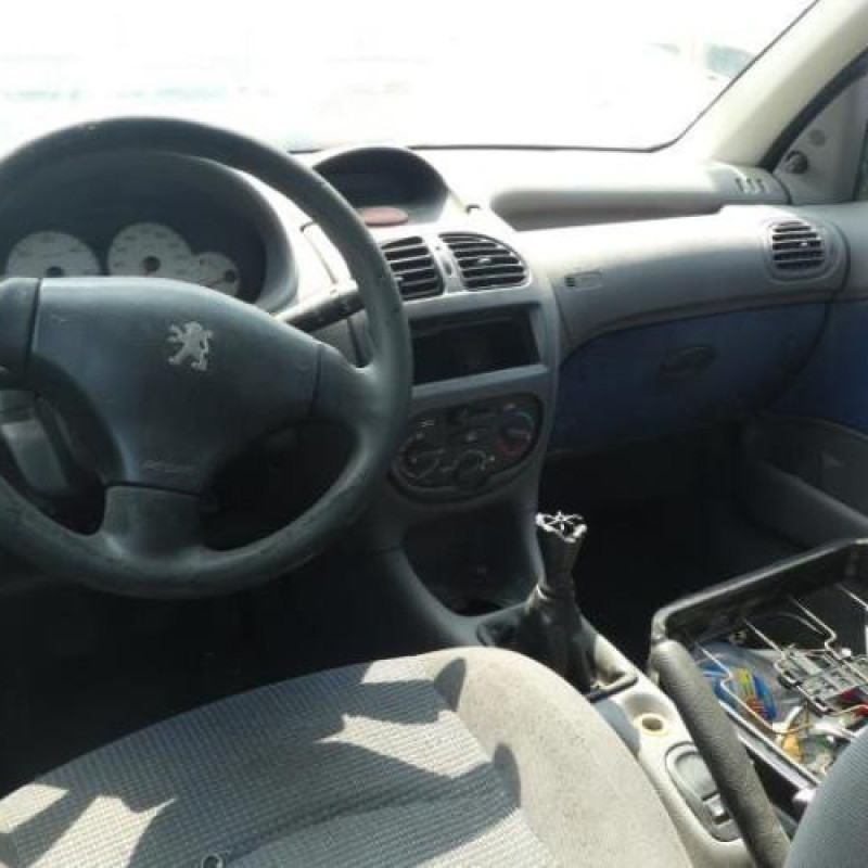 Porte arriere droit PEUGEOT 206 Photo n°9