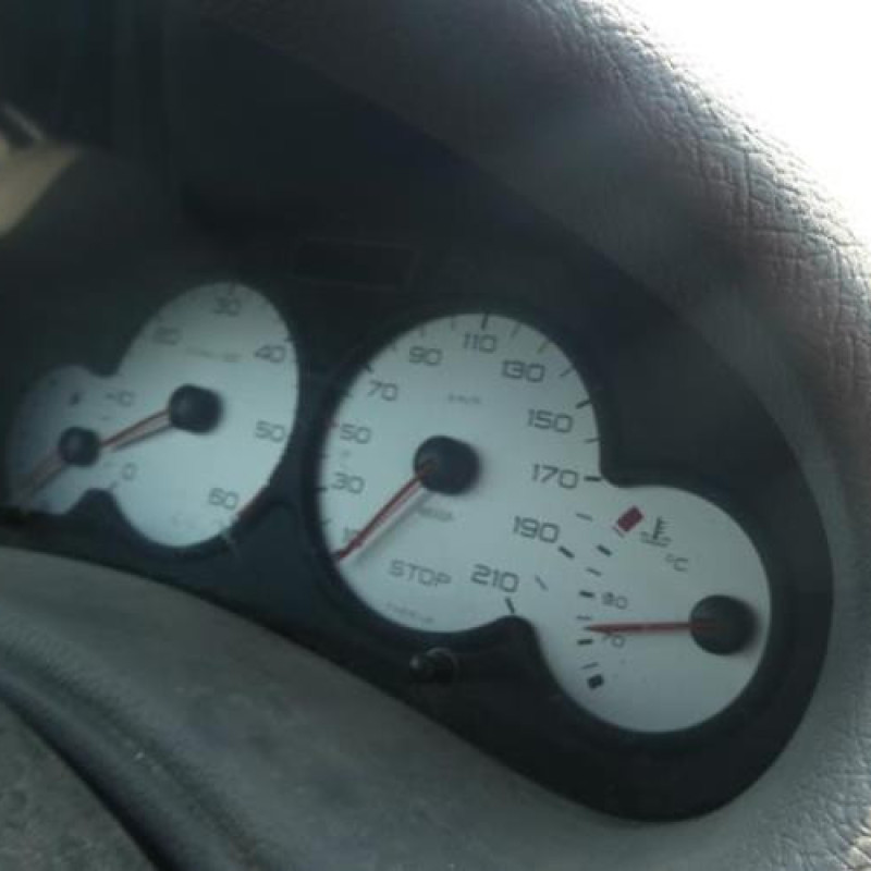 Porte arriere droit PEUGEOT 206 Photo n°11