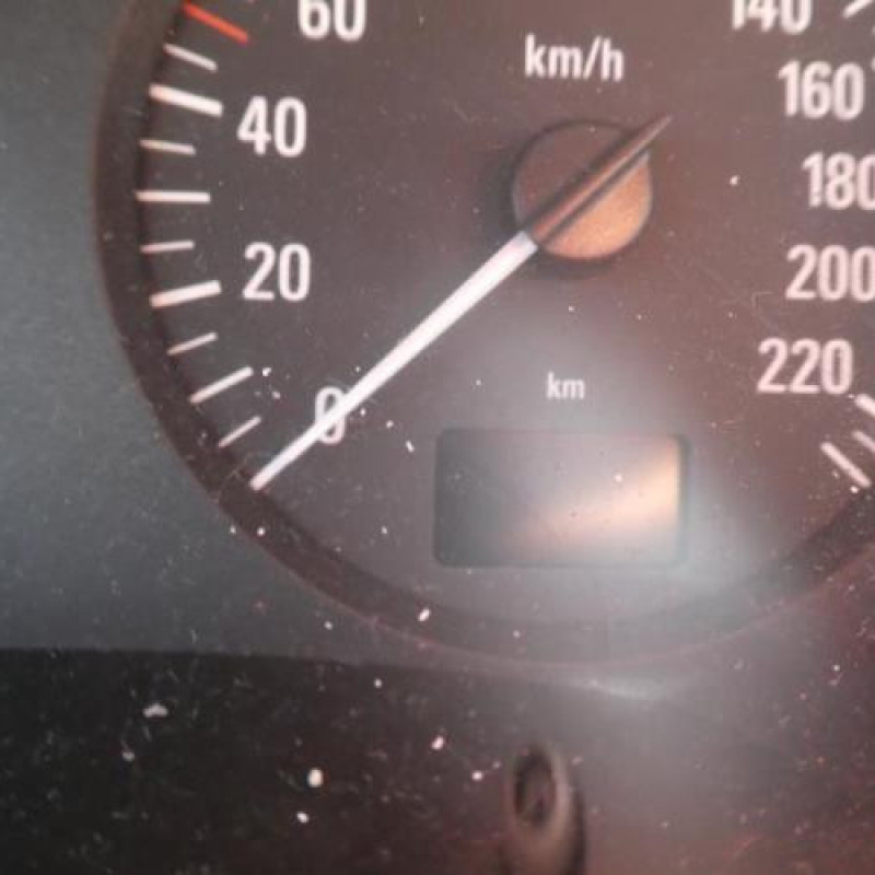 Porte arriere droit OPEL ZAFIRA A Photo n°13