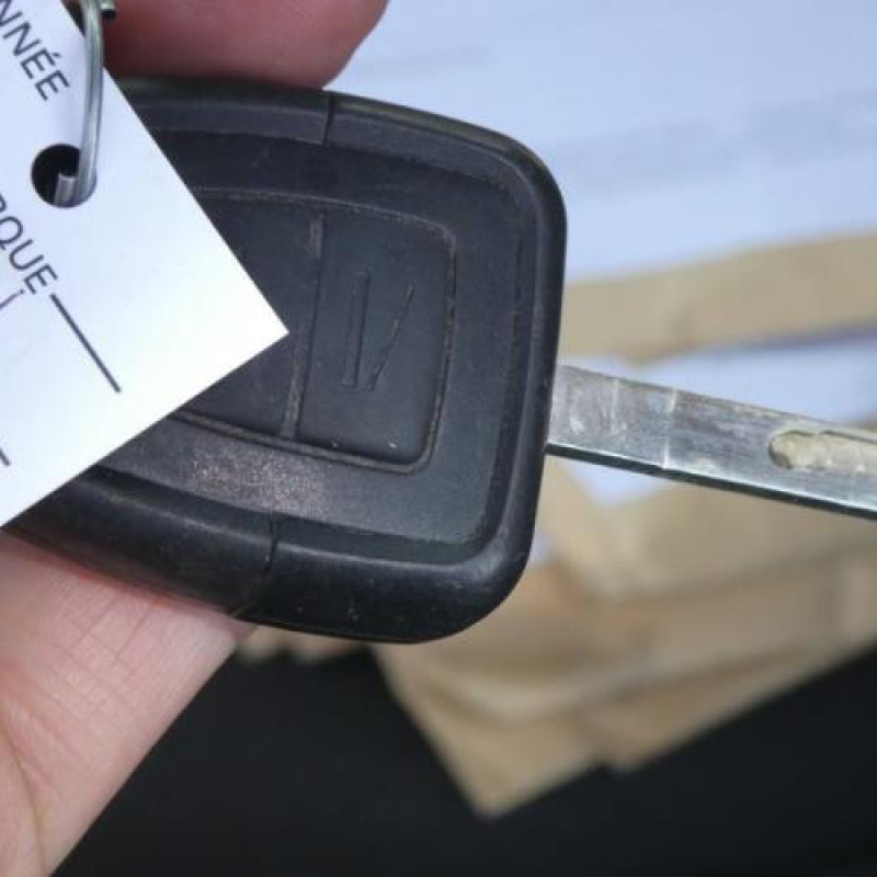 Porte arriere droit OPEL ZAFIRA A Photo n°15
