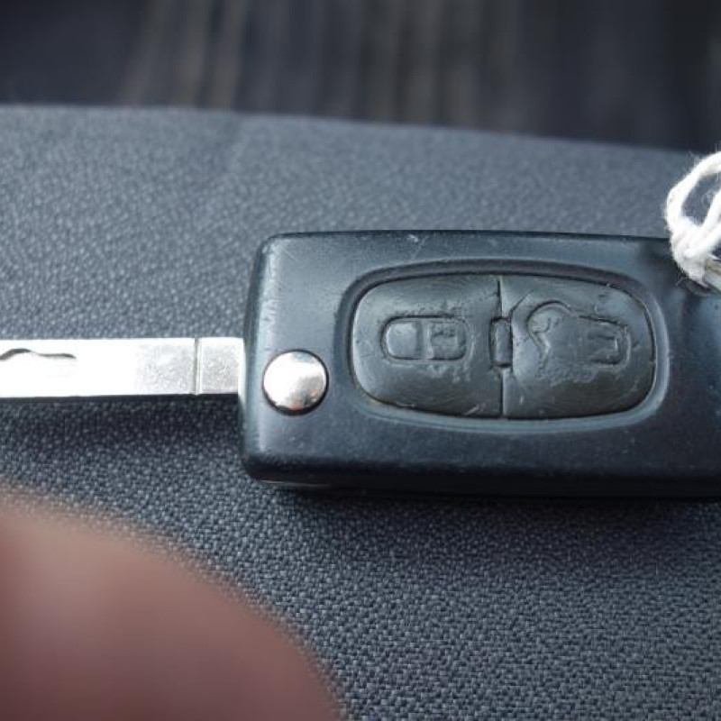 Porte avant droit CITROEN C2 Photo n°13