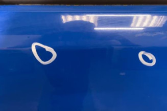 Porte arriere droit FIAT PANDA 2