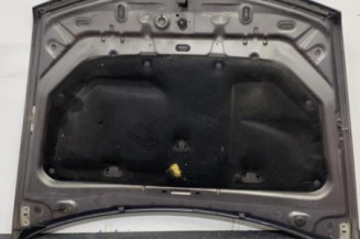 Capot RENAULT VEL SATIS