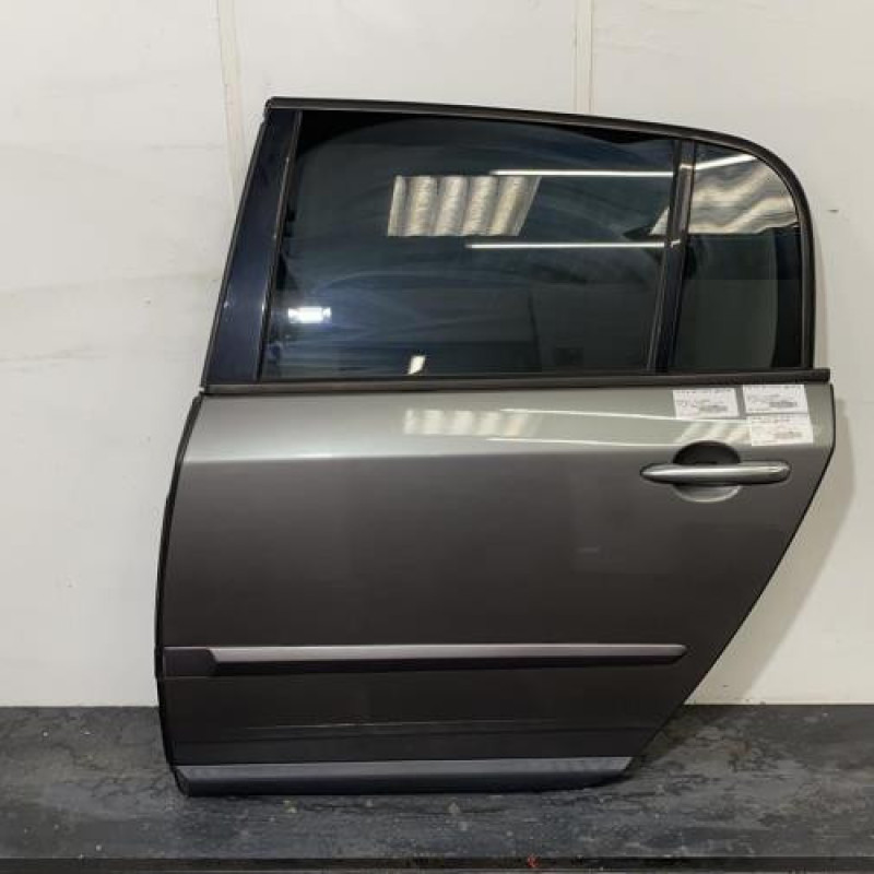 Porte arriere gauche RENAULT VEL SATIS Photo n°1