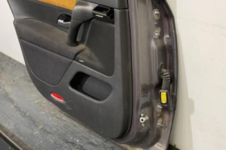 Porte arriere gauche RENAULT VEL SATIS