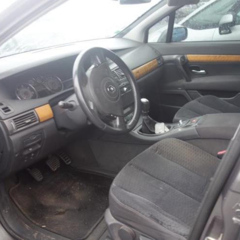 Porte arriere gauche RENAULT VEL SATIS Photo n°8