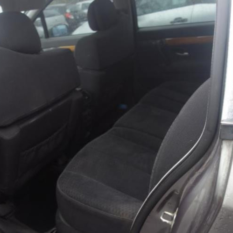 Porte arriere gauche RENAULT VEL SATIS Photo n°9