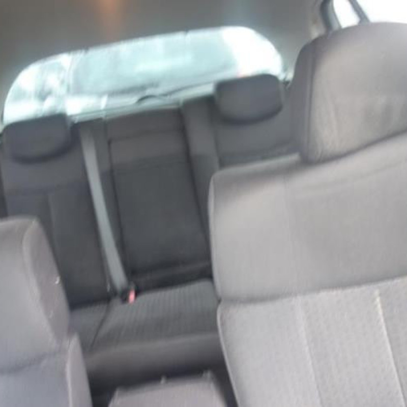 Porte arriere gauche RENAULT VEL SATIS Photo n°10