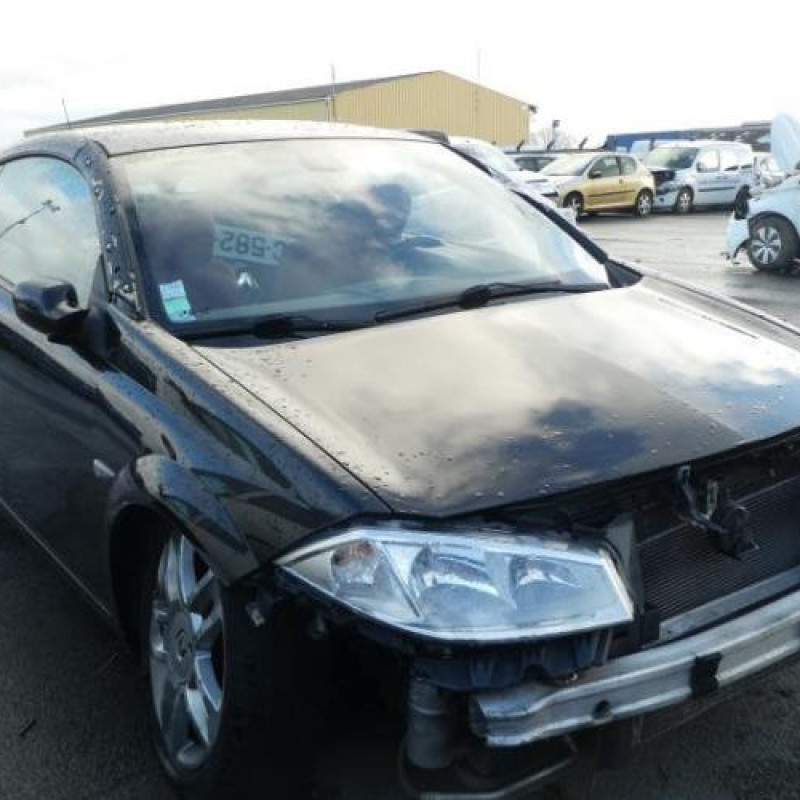 Porte avant gauche RENAULT MEGANE 2 Photo n°4