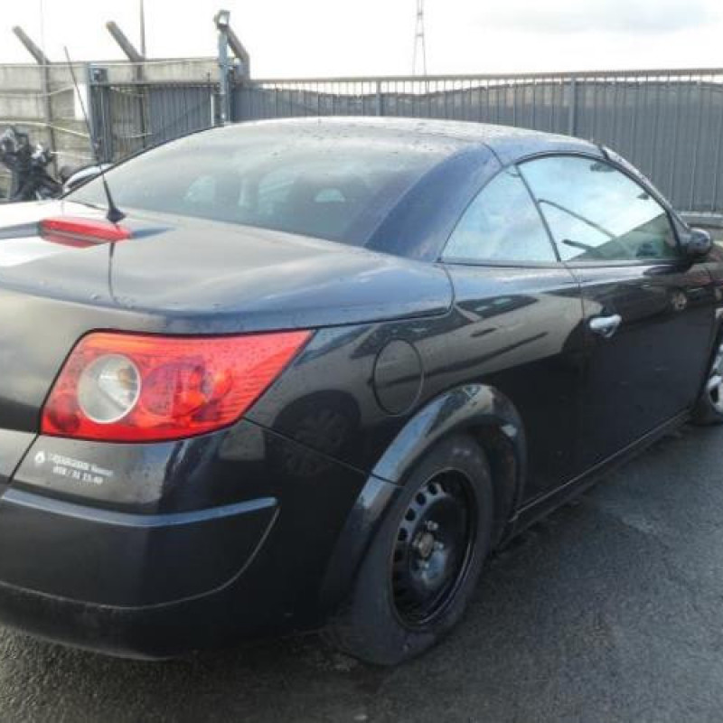 Porte avant gauche RENAULT MEGANE 2 Photo n°5