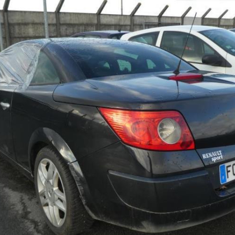 Porte avant gauche RENAULT MEGANE 2 Photo n°6