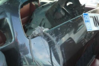 Porte avant gauche RENAULT MEGANE 2
