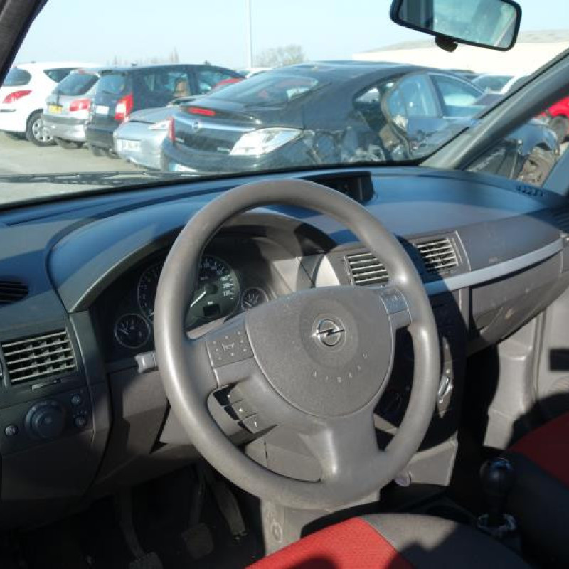 Porte arriere droit OPEL MERIVA A Photo n°7