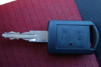 Porte arriere droit OPEL MERIVA A