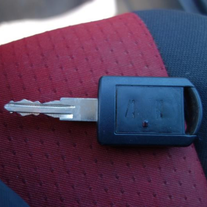 Porte arriere droit OPEL MERIVA A Photo n°9