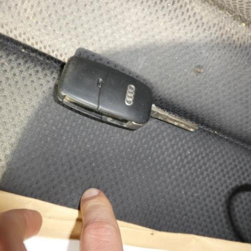 Porte arriere droit AUDI A4 2 Photo n°15