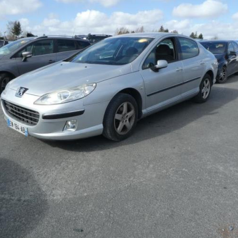 Porte avant gauche PEUGEOT 407 Photo n°5