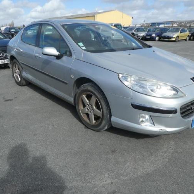 Porte avant gauche PEUGEOT 407 Photo n°6