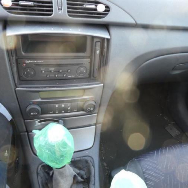 Porte avant gauche RENAULT LAGUNA 2 Photo n°9