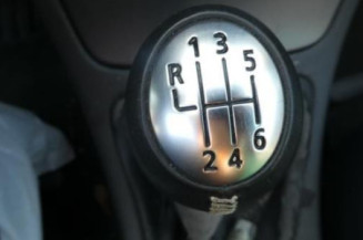 Porte avant gauche RENAULT LAGUNA 2