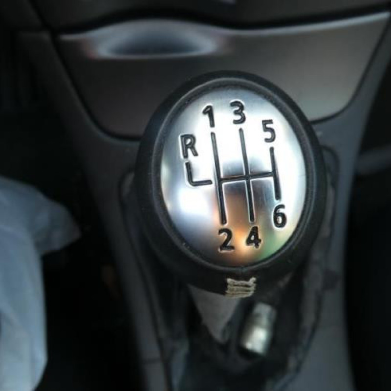 Porte avant gauche RENAULT LAGUNA 2 Photo n°10