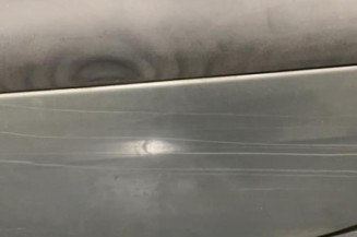 Porte arriere gauche RENAULT SCENIC 1
