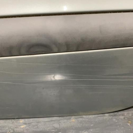 Porte arriere gauche RENAULT SCENIC 1