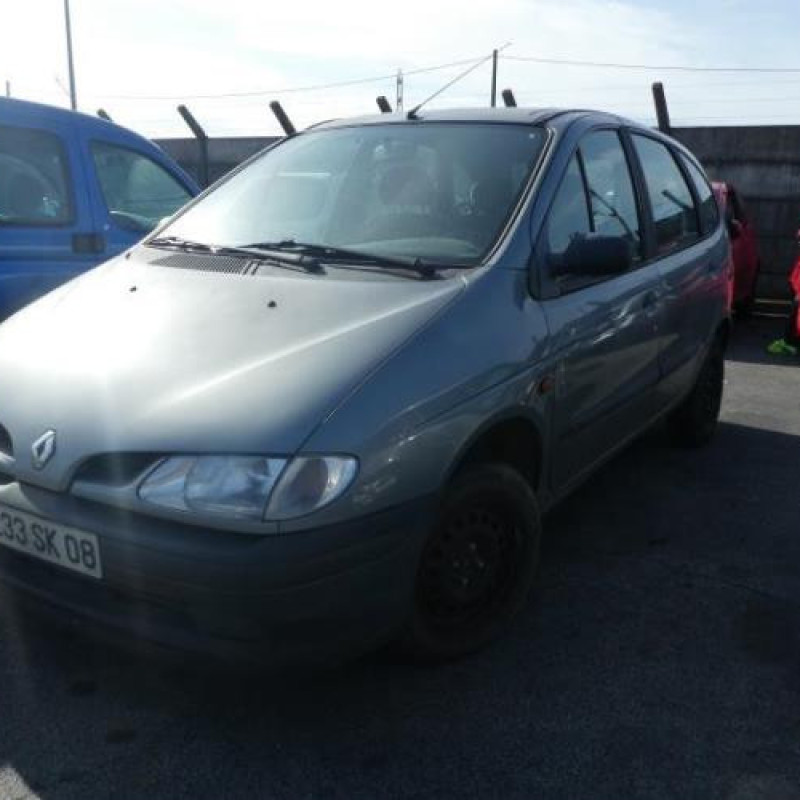 Porte arriere gauche RENAULT SCENIC 1 Photo n°5