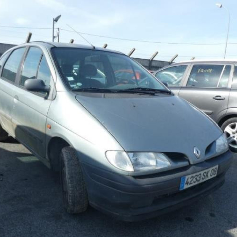 Porte arriere gauche RENAULT SCENIC 1 Photo n°6