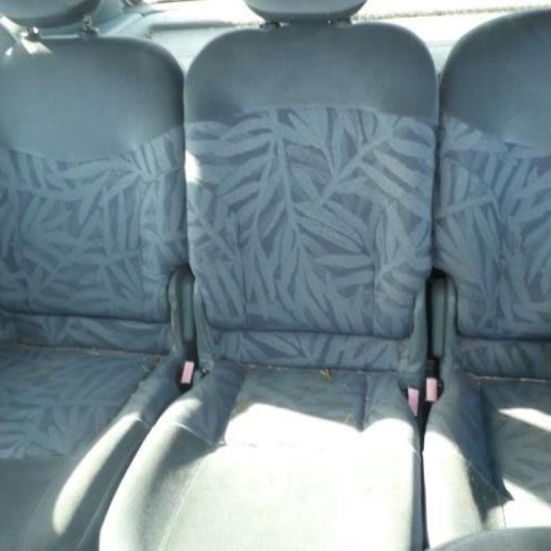 Porte arriere gauche RENAULT SCENIC 1 Photo n°10